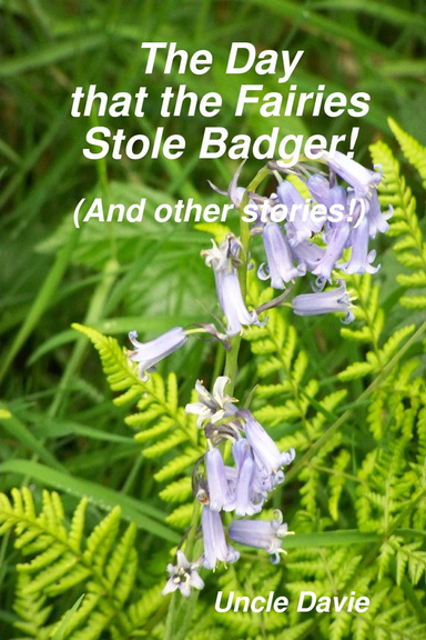 The Day that the Fairies stole Badger!