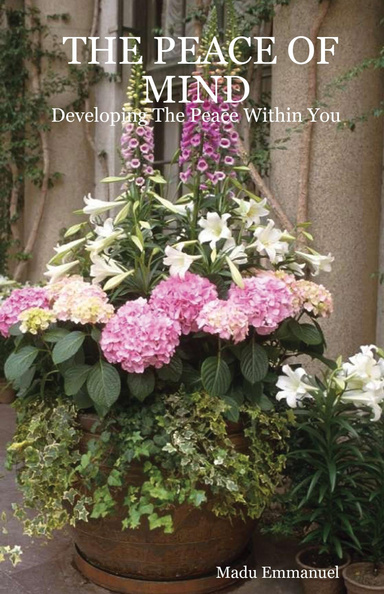 THE PEACE OF MIND:Developing The Peace Within You