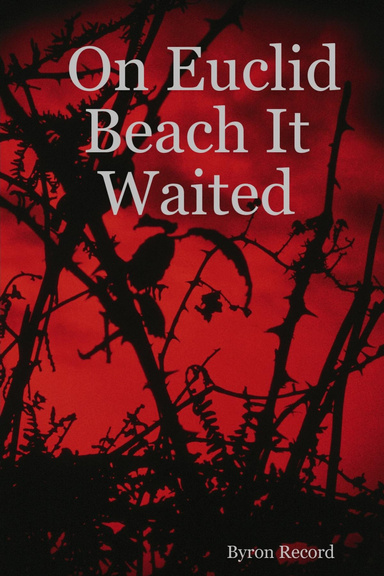 On Euclid Beach It Waited