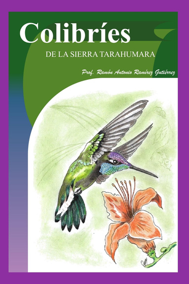 Colibríes de la Sierra Tarahumara