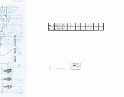 Embodiment