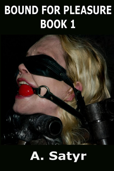 Bound For Pleasure - Book 1