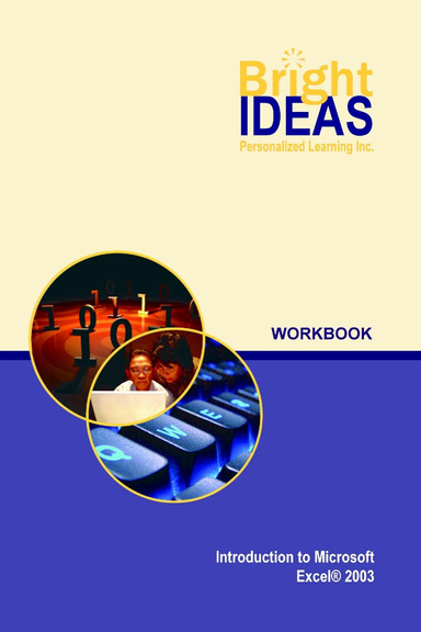 MS Excel 2003 Introduction