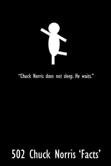 502 Chuck Norris 'Facts'