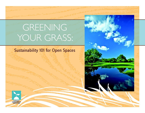 Greening Your Grass: Sustainability 101 for Open Spaces