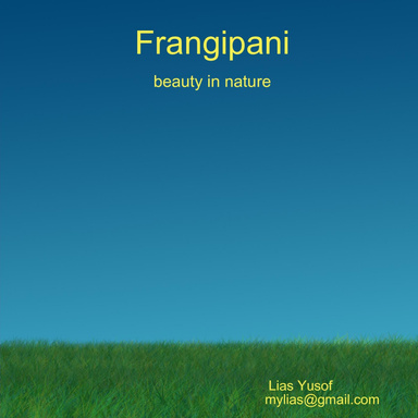 Frangipani, beauty in nature.