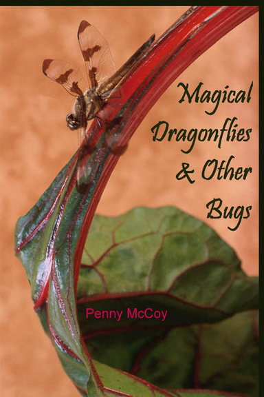 Magical Dragonflies & Other Bugs