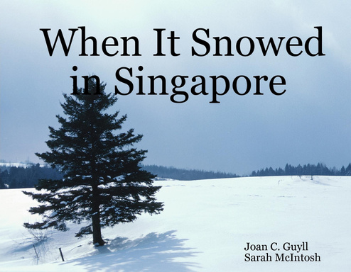 When It Snowed in Singapore