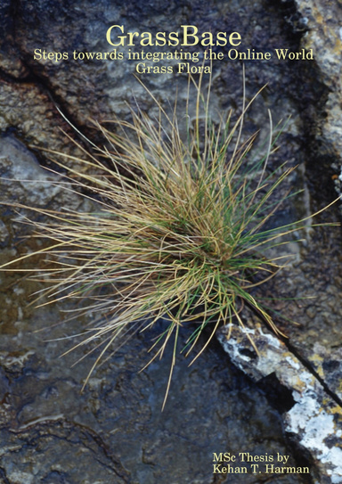 GrassBase - Steps towards integrating the Online World Grass Flora