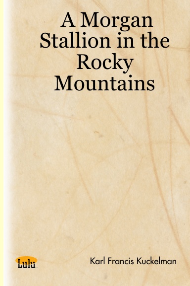 A Morgan Stallion in the Rocky Mountains