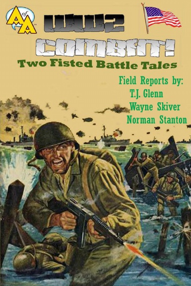 WW2 Combat