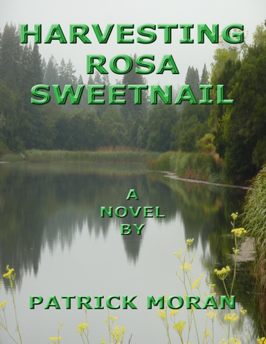 Harvesting Rosa Sweetnail