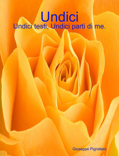 Undici
