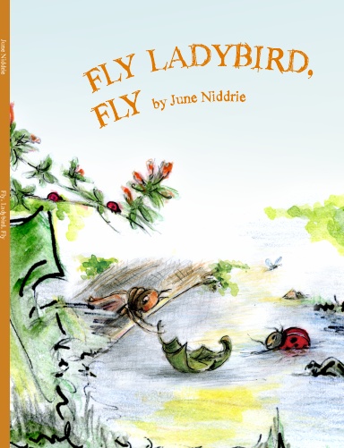 Fly Ladybird, Fly