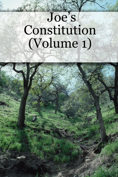 Joe’s Constitution (Volume 1)