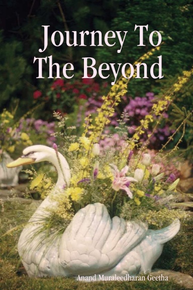 Journey To The Beyond