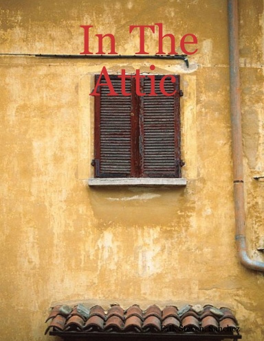 In The Attic