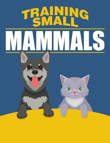 Training Small Mammals