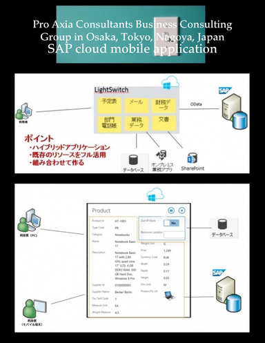Pro Axia Consultants Business Consulting Group in Osaka, Tokyo, Nagoya, Japan: SAP cloud mobile application