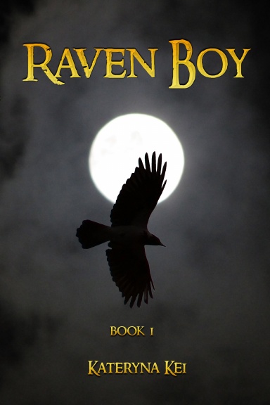 Raven Boy Book 1