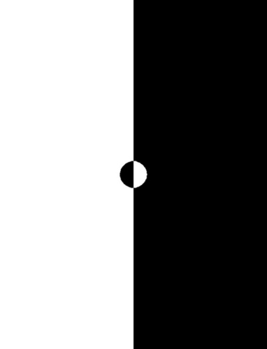 Monad