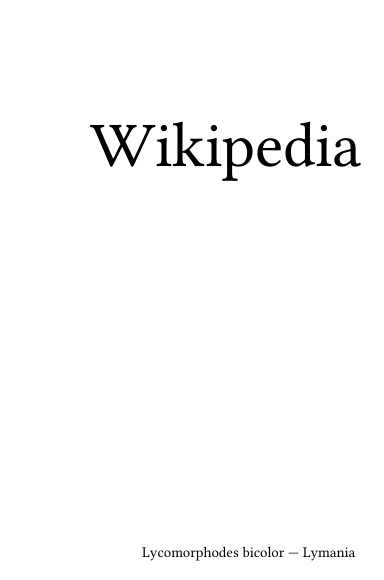 Volume 4534, Lycomorphodes bicolor --- Lymania