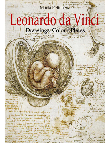 Leonardo Da Vinci Drawings: Colour Plates