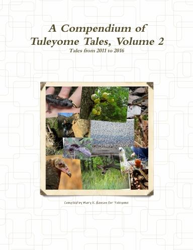 A Compendium of Tuleyome Tales, Volume 2