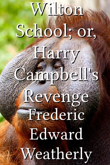Wilton School; or, Harry Campbell's Revenge
