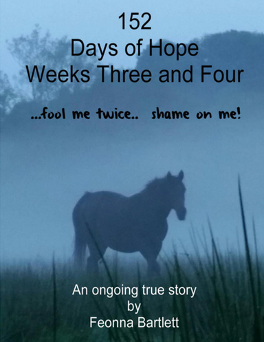 152 Days of Hope: Weeks Three and Four - Fool Me Twice, Shame On Me...
