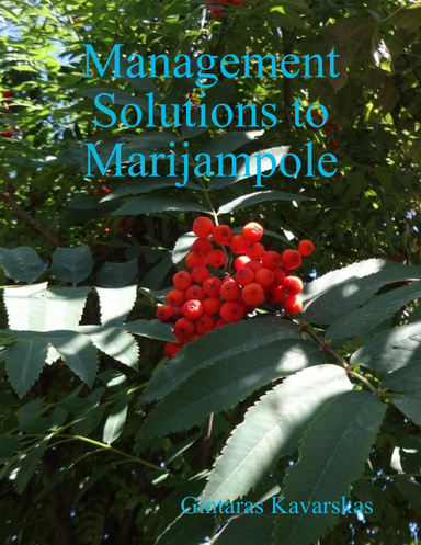 Management Solutions to Marijampole