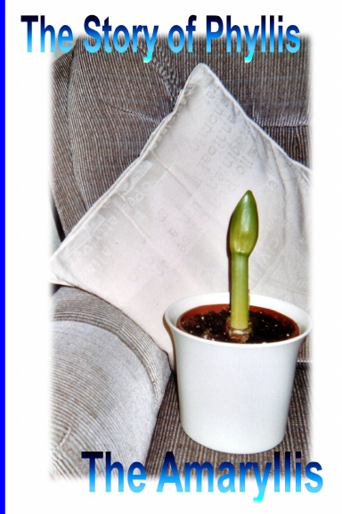 The Story of an Amaryllis