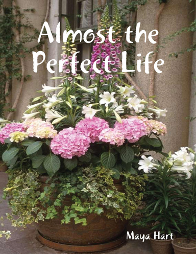 Almost the Perfect Life