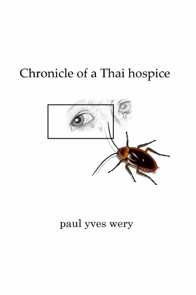 Chronicle of a Thai hospice