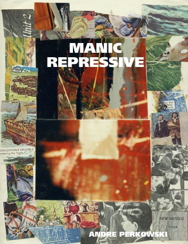 Manic Repressive