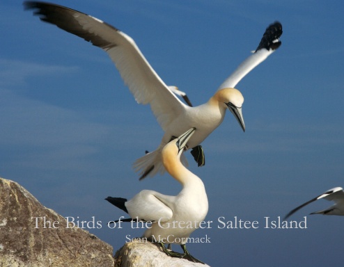 The Birds of the Greater Saltee Island