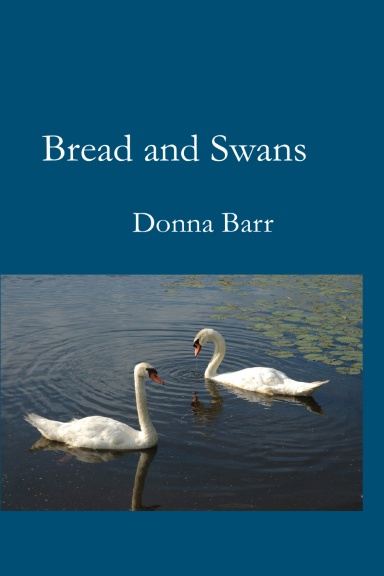 Bread and Swans
