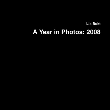 A Year in Photos: 2008