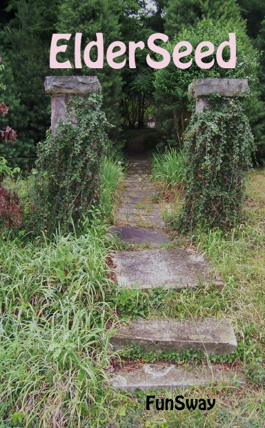 ELDER SEED