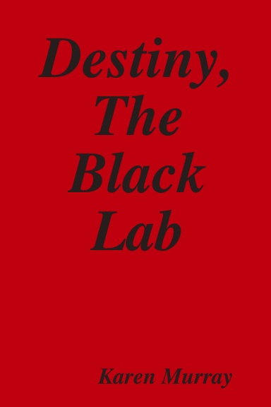 Destiny, The Black Lab