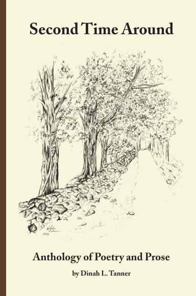 Second Time Around - Hardcase