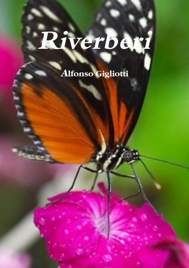 Riverberi