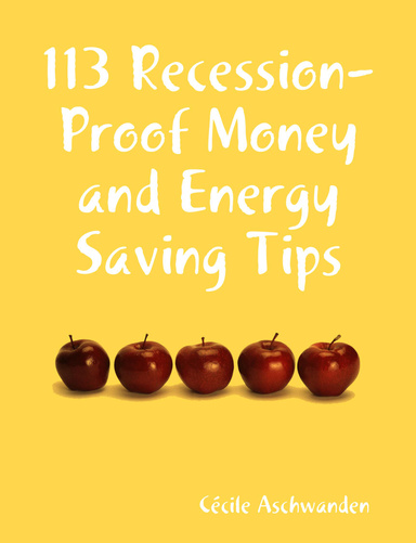 113 Recession-Proof Money and Energy Saving Tips