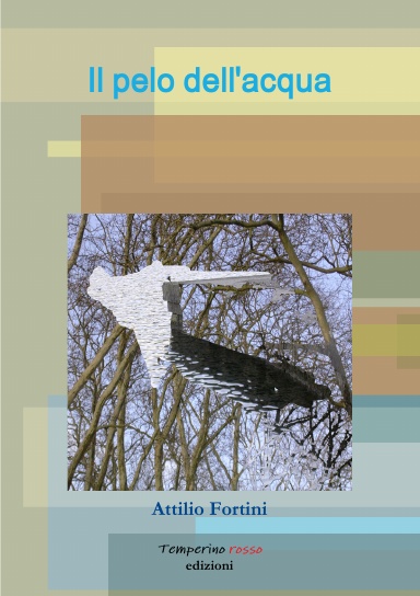 Il pelo dell'acqua