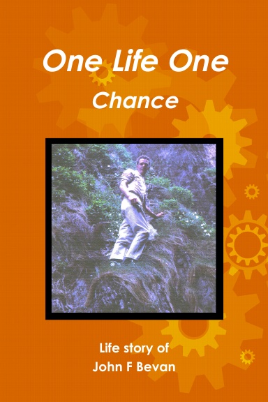 One Life One Chance