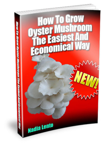 How To Grow Oyster Mushroom The Easiest And Economical Way