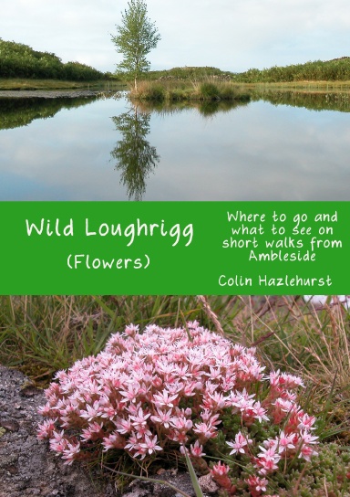 Wild Loughrigg (flowers)