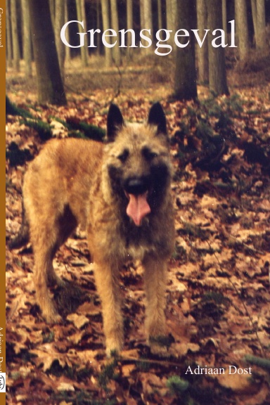 Grensgeval