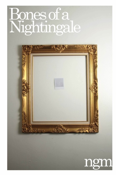 Bones of a Nightingale
