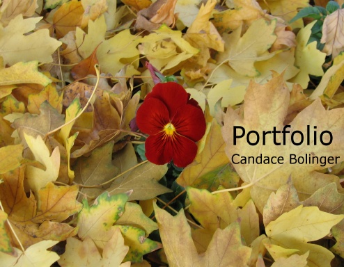 Portfolio 2